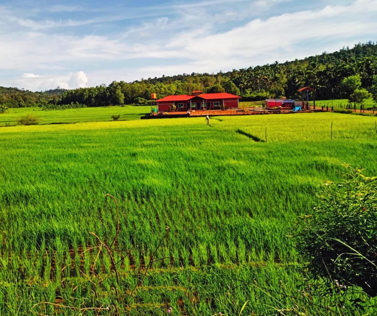 Namma Aramane Home Stay Jog Falls 외부 사진